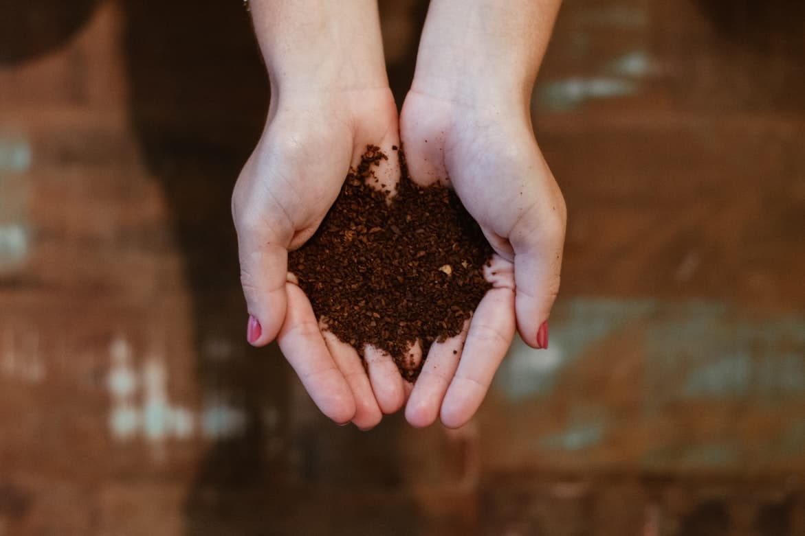 Vermicompost as a solution to the organic waste problem